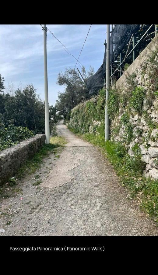 Villa La Scivitella Amalfi Esterno foto